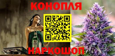 прущие грибы Краснодар