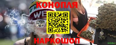 прущие грибы Краснодар