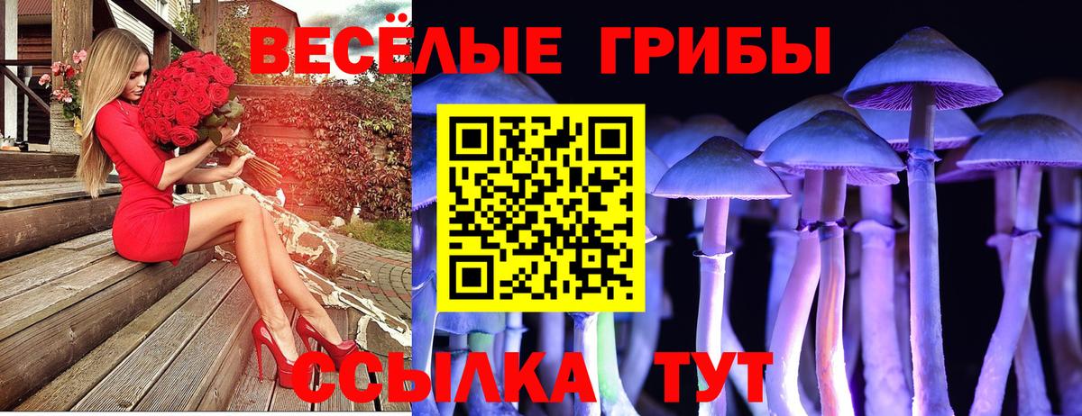 Псилоцибиновые грибы Psilocybine cubensis  Галлюциногенные грибы Psilocybe  Вход с VPN  Пятигорск 