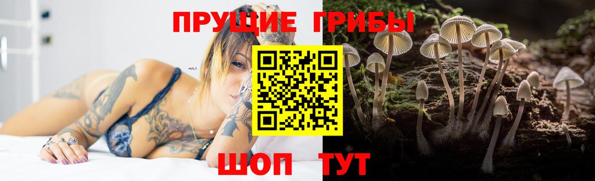 Галлюциногенные грибы прущие грибы Пятигорск